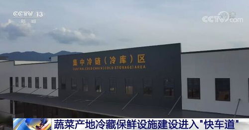 蔬菜產地冷藏保鮮設施建設加速“落地生花”，全鏈條服務推動提檔升級